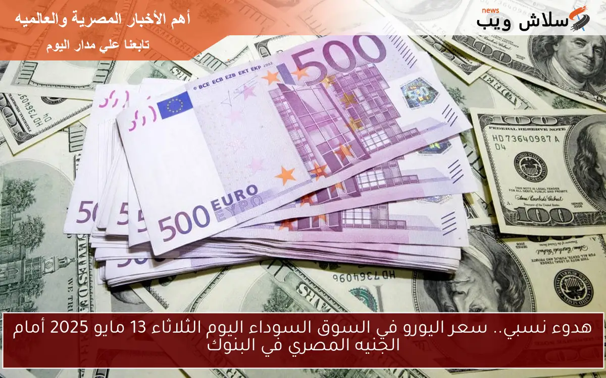 هدوء نسبي.. سعر اليورو في السوق السوداء اليوم الثلاثاء 13 مايو 2025 أمام الجنيه المصري في البنوك 2 هدوء نسبي.. سعر اليورو في السوق السوداء اليوم الثلاثاء 13 مايو 2025 أمام الجنيه المصري في البنوك