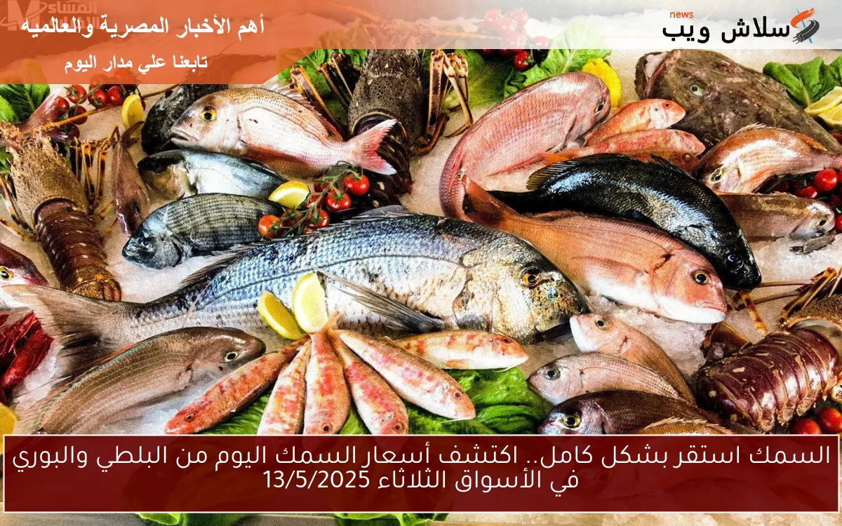 السمك استقر بشكل كامل.. اكتشف أسعار السمك اليوم من البلطي والبوري في الأسواق الثلاثاء 13/5/2025 2 السمك استقر بشكل كامل.. اكتشف أسعار السمك اليوم من البلطي والبوري في الأسواق الثلاثاء 13/5/2025