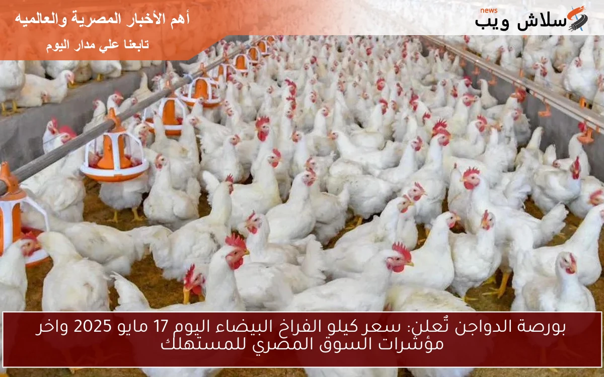 بورصة الدواجن تٌعلن: سعر كيلو الفراخ البيضاء اليوم 17 مايو 2025 واخر مؤشرات السوق المصري للمستهلك