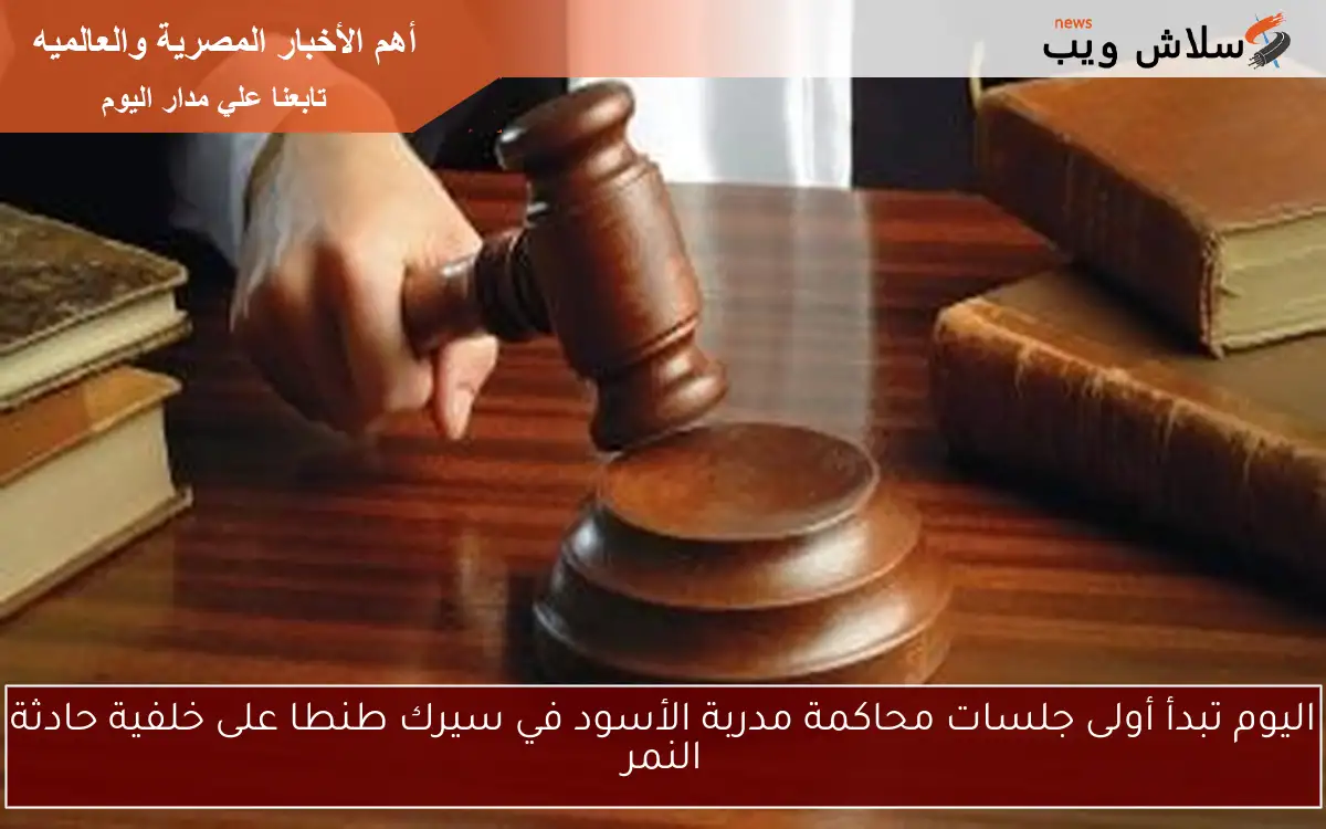 اليوم تبدأ أولى جلسات محاكمة مدربة الأسود في سيرك طنطا على خلفية حادثة النمر 2 اليوم تبدأ أولى جلسات محاكمة مدربة الأسود في سيرك طنطا على خلفية حادثة النمر