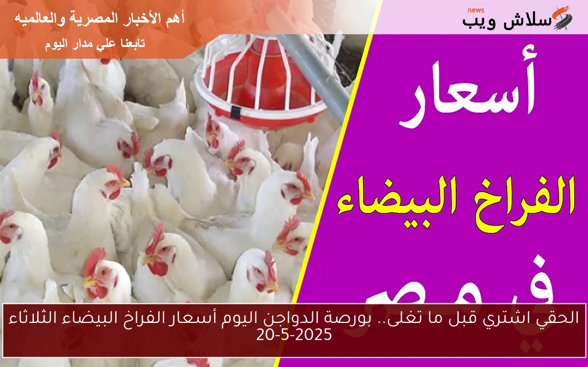 الحقي اشتري.. بورصة الدواجن اليوم أسعار الفراخ البيضاء الثلاثاء 20-5-2025 وسعر البيض