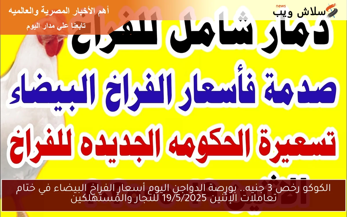 الكوكو رخص 3 جنيه.. بورصة الدواجن اليوم أسعار الفراخ البيضاء في ختام تعاملات الإثنين 19/5/2025 للتجار والمُستهلكين