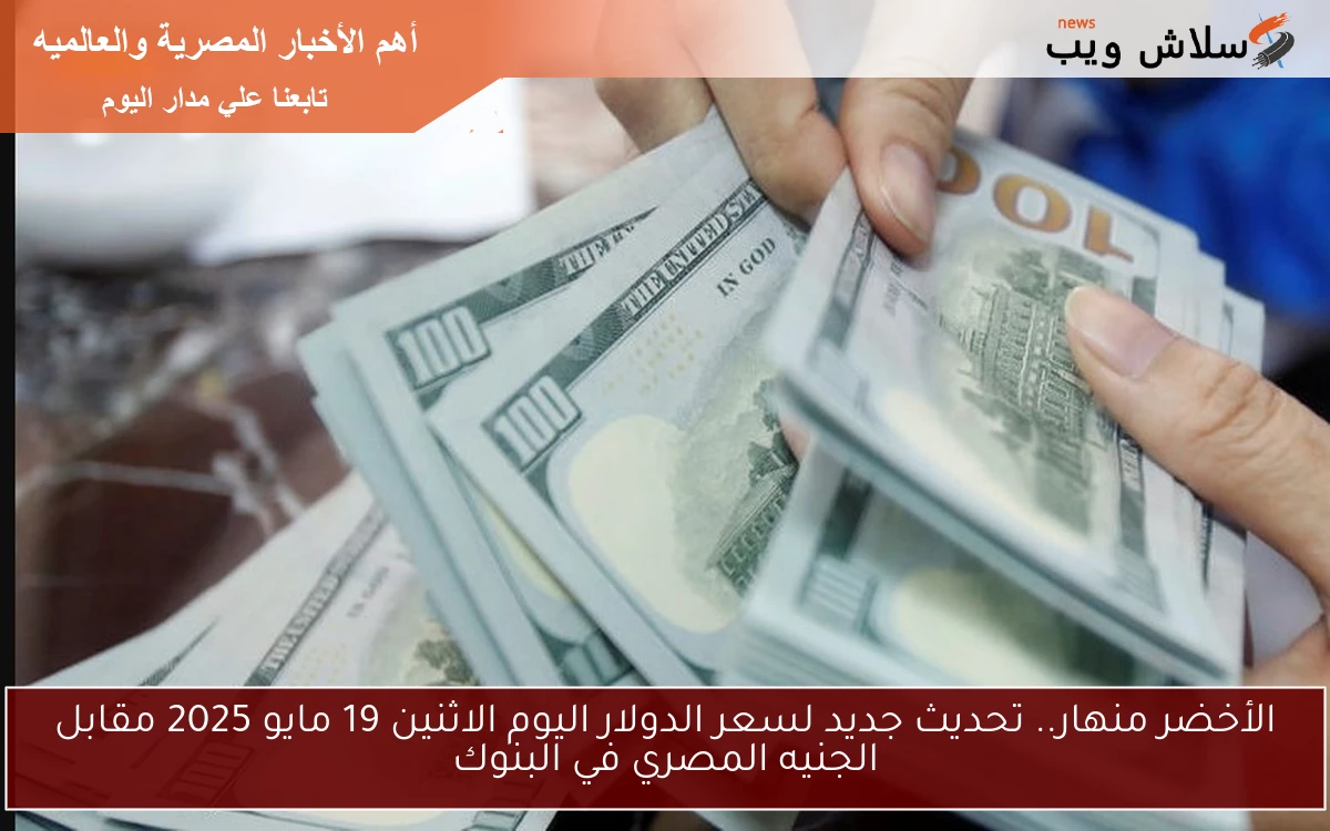 الأخضر منهار.. تحديث جديد لسعر الدولار اليوم الاثنين 19 مايو 2025 مقابل الجنيه المصري في البنوك