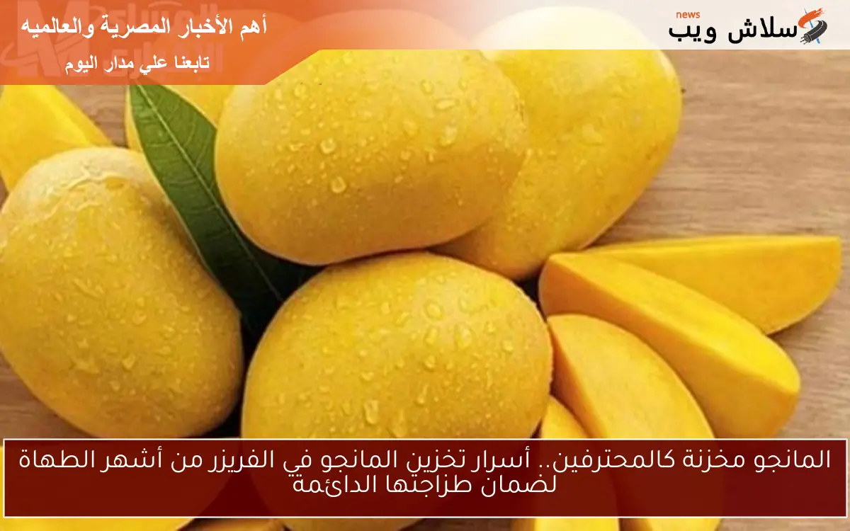 المانجو مخزنة كالمحترفين.. أسرار تخزين المانجو في الفريزر من أشهر الطهاة لضمان طزاجتها الدائمة 2 المانجو مخزنة كالمحترفين.. أسرار تخزين المانجو في الفريزر من أشهر الطهاة لضمان طزاجتها الدائمة