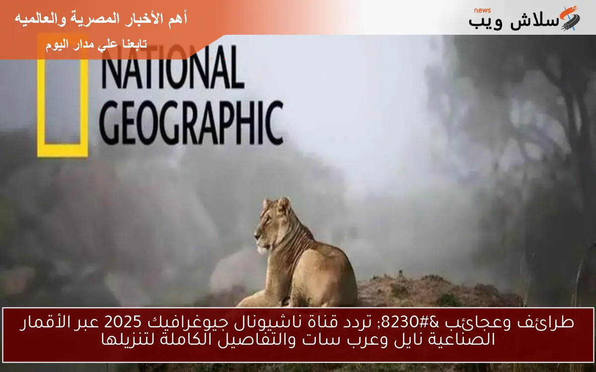 طرائف وعجائب … تردد قناة ناشيونال جيوغرافيك 2025 عبر الأقمار الصناعية نايل وعرب سات والتفاصيل الكاملة لتنزيلها