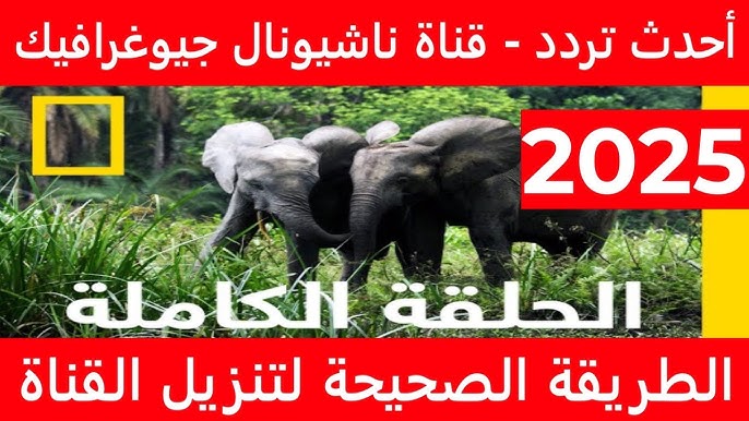 تردد قناة ناشيونال جيوغرافيك نايل سات 2025