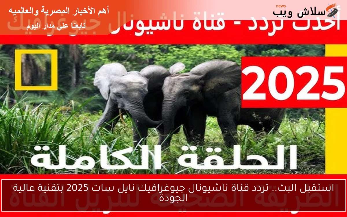 استقبل البث.. تردد قناة ناشيونال جيوغرافيك نايل سات 2025 بتقنية عالية الجودة 2 استقبل البث.. تردد قناة ناشيونال جيوغرافيك نايل سات 2025 بتقنية عالية الجودة