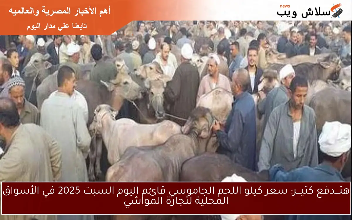 هتـــدفع كتيـــر: سعر كيلو اللحم الجاموسي قائم اليوم السبت 2025 في الأسواق المحلية لتجارة المواشي 2 هتـــدفع كتيـــر: سعر كيلو اللحم الجاموسي قائم اليوم السبت 2025 في الأسواق المحلية لتجارة المواشي