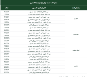 مفتاح زيادة ثروتك.. شهادات البنك العربي الافريقي الجديدة 2025 El bank-El afriqi بعوائد تنافسية تصل الي 250% 4 شهادات البنك العربي الافريقي 2025