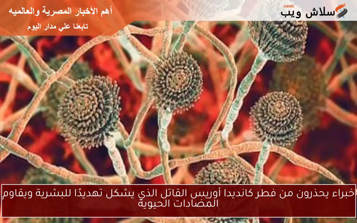 خبراء يحذرون من فطر كانديدا أوريس القاتل الذي يشكل تهديدًا للبشرية ويقاوم المضادات الحيوية 2 خبراء يحذرون من فطر كانديدا أوريس القاتل الذي يشكل تهديدًا للبشرية ويقاوم المضادات الحيوية