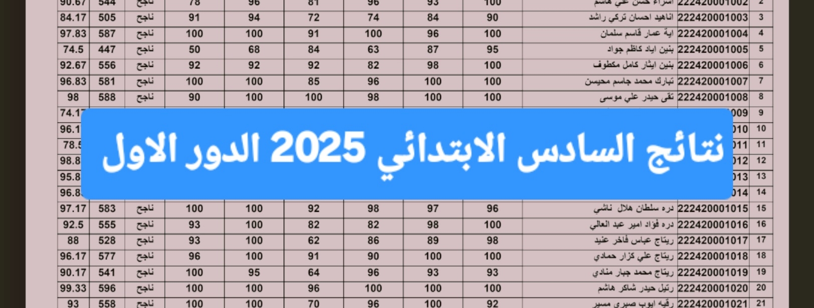 وزارة التربية العراقية: رابط تقديم اعتراضات علي نتائج السادس الابتدائي 2025 الدور الأول في العراق epedu.gov.iq 2 وزارة التربية العراقية: رابط تقديم اعتراضات علي نتائج السادس الابتدائي 2025 الدور الأول في العراق epedu.gov.iq