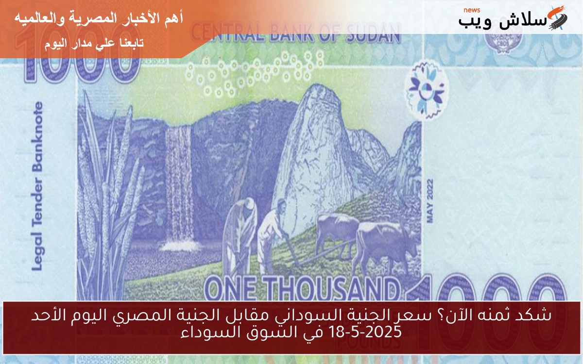 شكد ثمنه الآن؟ سعر الجنية السوداني مقابل الجنية المصري اليوم الأحد 18-5-2025 في السوق السوداء