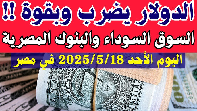سعر الدولار اليوم