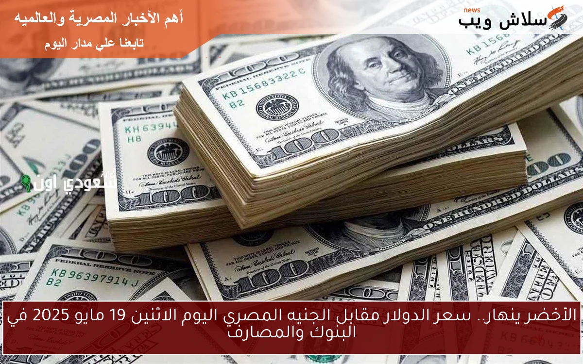 الأخضر ينهار.. سعر الدولار مقابل الجنيه المصري اليوم الاثنين 19 مايو 2025 في البنوك والمصارف