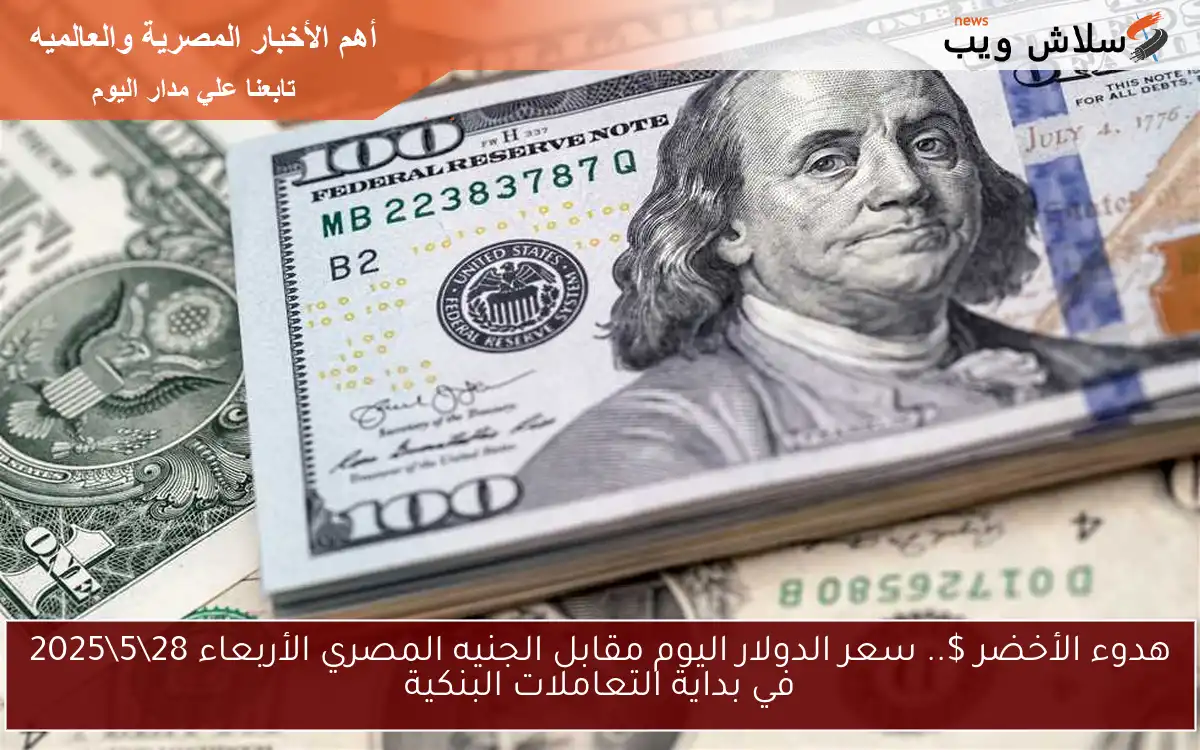 هدوء الأخضر $.. سعر الدولار اليوم مقابل الجنيه المصري الأربعاء 28\5\2025 في بداية التعاملات البنكية
