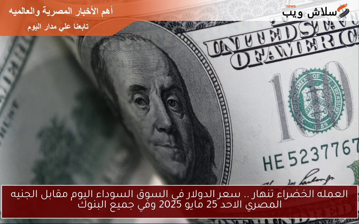 dollar العمله الخضراء تنهار .. سعر الدولار في السوق السوداء اليوم مقابل الجنيه المصري الاحد 25 مايو 2025 وفي جميع البنوك