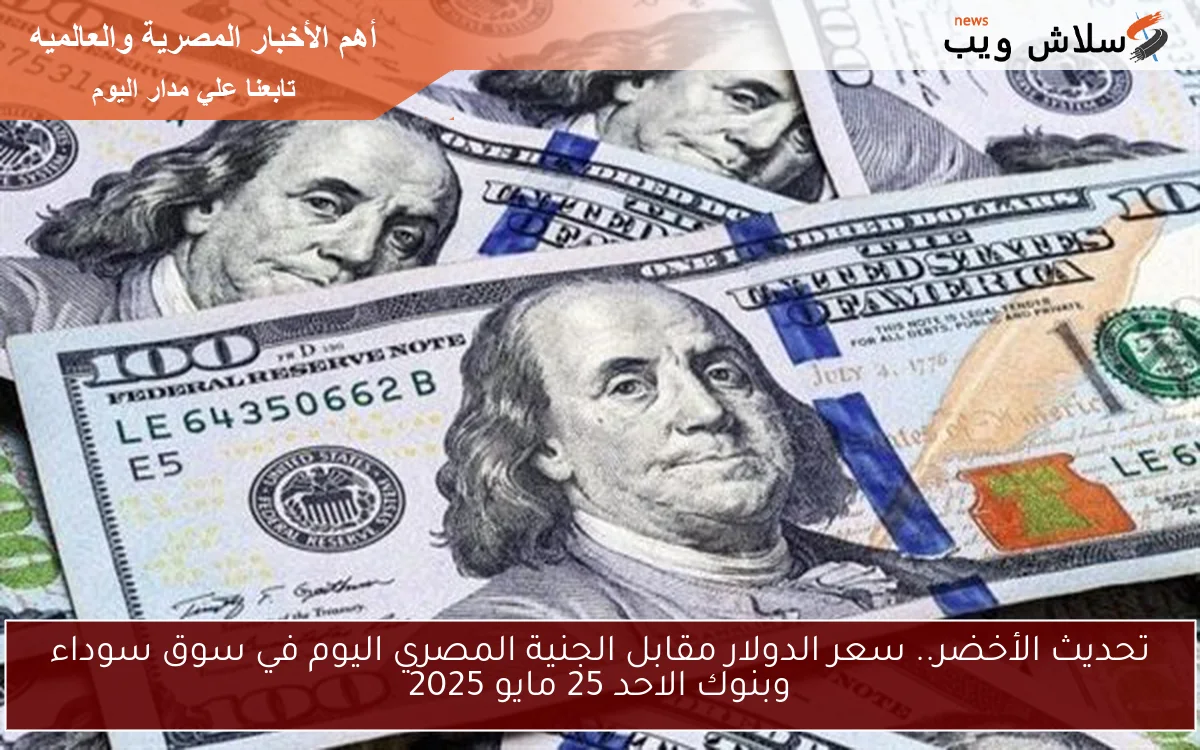 تحديث الأخضر.. سعر الدولار مقابل الجنية المصري اليوم في سوق سوداء وبنوك الاحد 25 مايو 2025