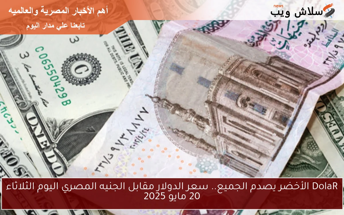 DolaR الأخضر يصدم الجميع.. سعر الدولار مقابل الجنيه المصري اليوم الثلاثاء 20 مايو 2025