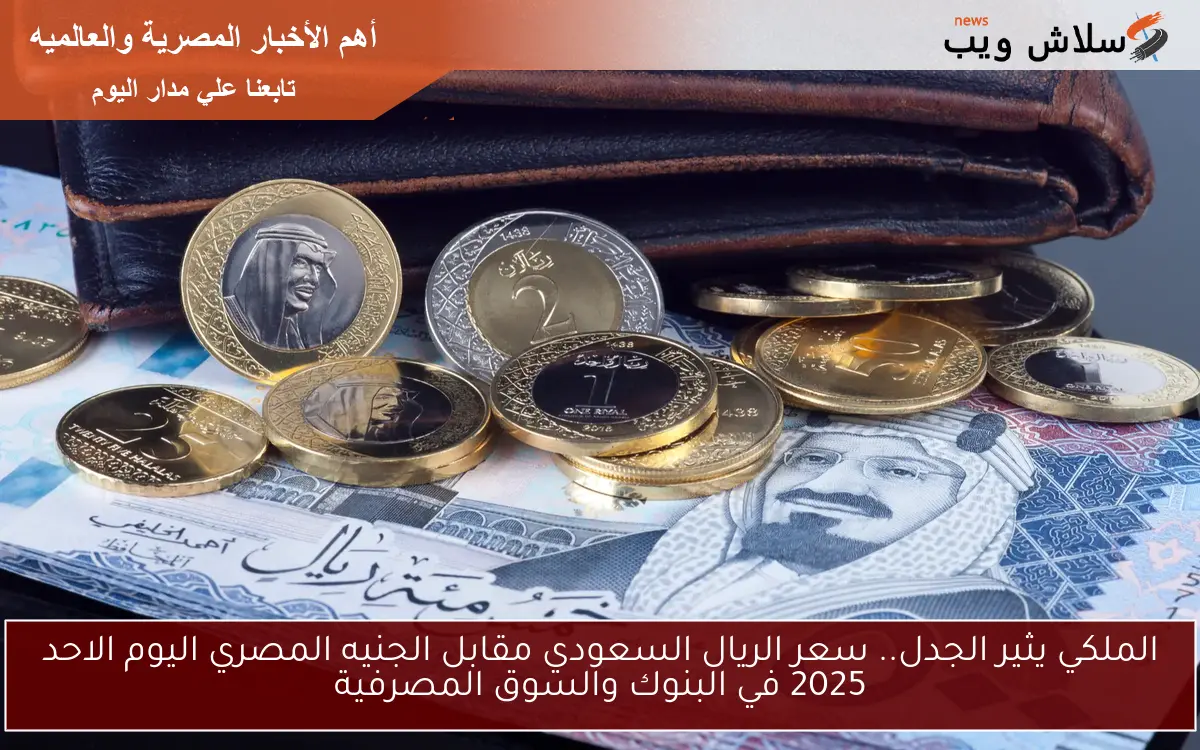 الملكي يثير الجدل.. سعر الريال السعودي مقابل الجنيه المصري اليوم الاحد 2025 في البنوك والسوق المصرفية