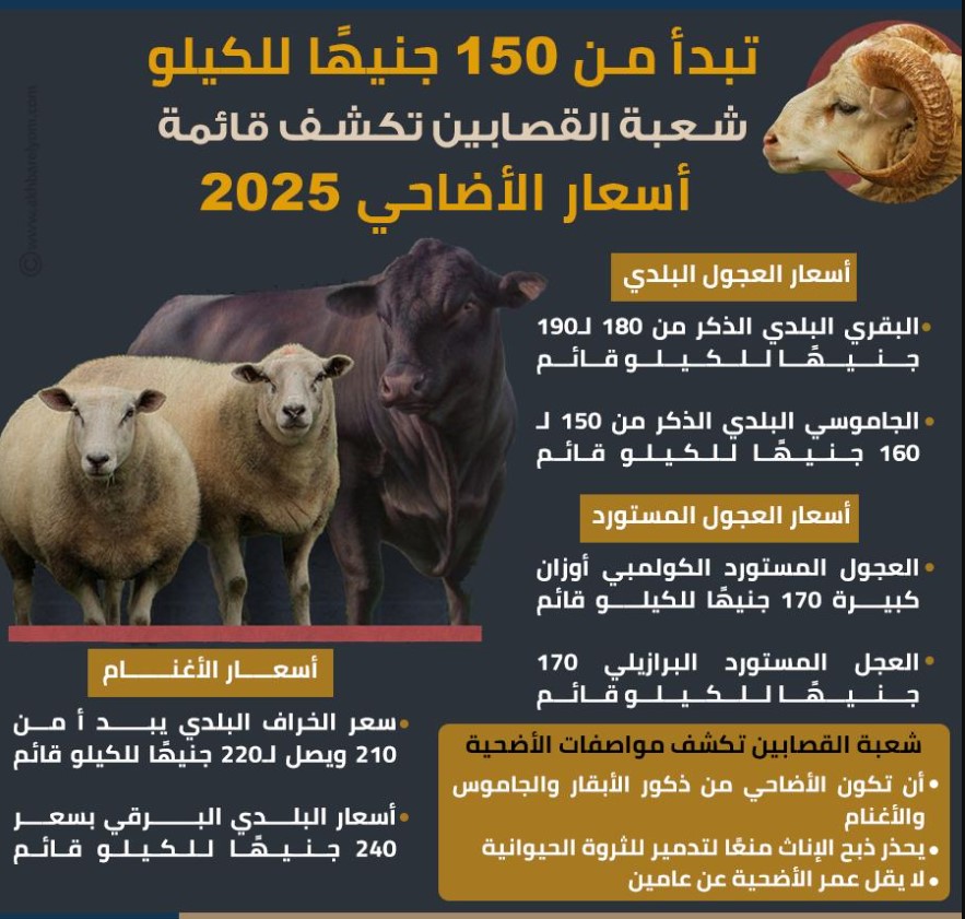 سعر الكيلو العجول قائم