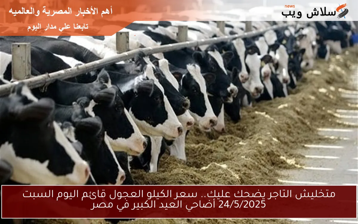 متخليش التاجر يضحك عليك.. سعر الكيلو العجول قائم اليوم السبت 24/5/2025 وأفضل 5 أمكان للشراء في مصر