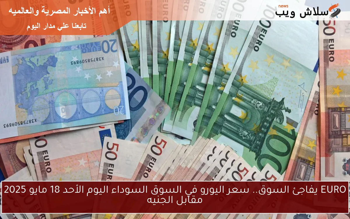 EURO يفاجئ السوق.. سعر اليورو في السوق السوداء اليوم الأحد 18 مايو 2025 مقابل الجنيه 2 EURO يفاجئ السوق.. سعر اليورو في السوق السوداء اليوم الأحد 18 مايو 2025 مقابل الجنيه