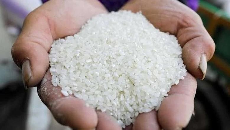 سعر طن الأرز الشعير اليوم