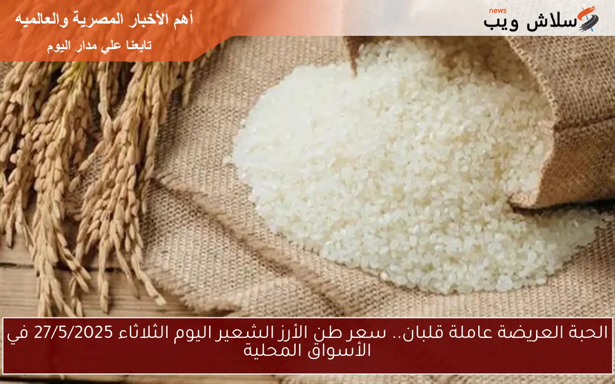 الحبة العريضة عاملة قلبان.. سعر طن الأرز الشعير اليوم الثلاثاء 27/5/2025 في الأسواق المحلية