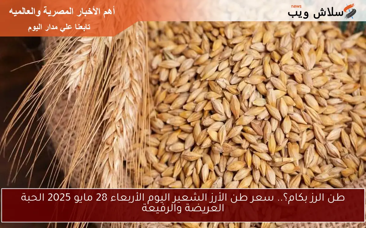 طن الرز بكام؟.. سعر طن الأرز الشعير اليوم الأربعاء 28 مايو 2025 الحبة العريضة والرفيعة