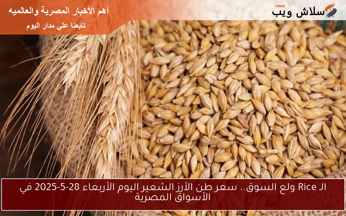 الـ Rice ولع السوق.. سعر طن الأرز الشعير اليوم الأربعاء 28-5-2025 في الأسواق المصرية
