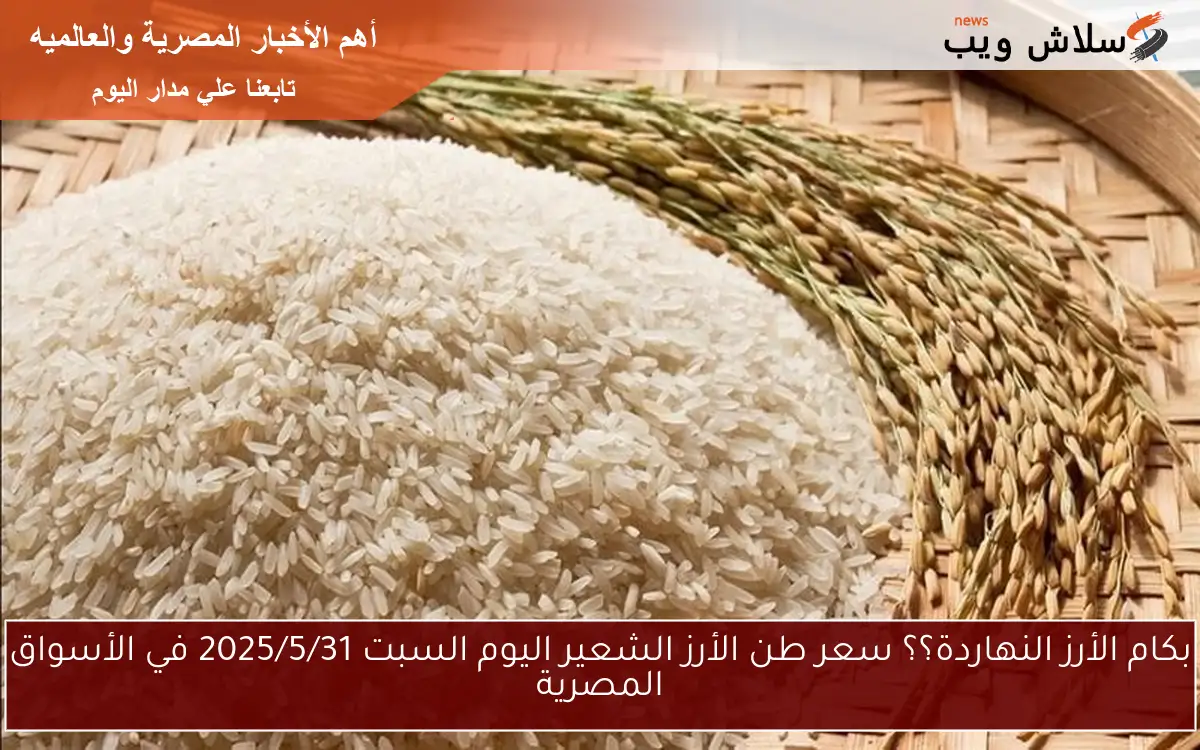 بكام الأرز النهاردة؟؟ سعر طن الأرز الشعير اليوم السبت 2025/5/31 في الأسواق المصرية 2 بكام الأرز النهاردة؟؟ سعر طن الأرز الشعير اليوم السبت 2025/5/31 في الأسواق المصرية