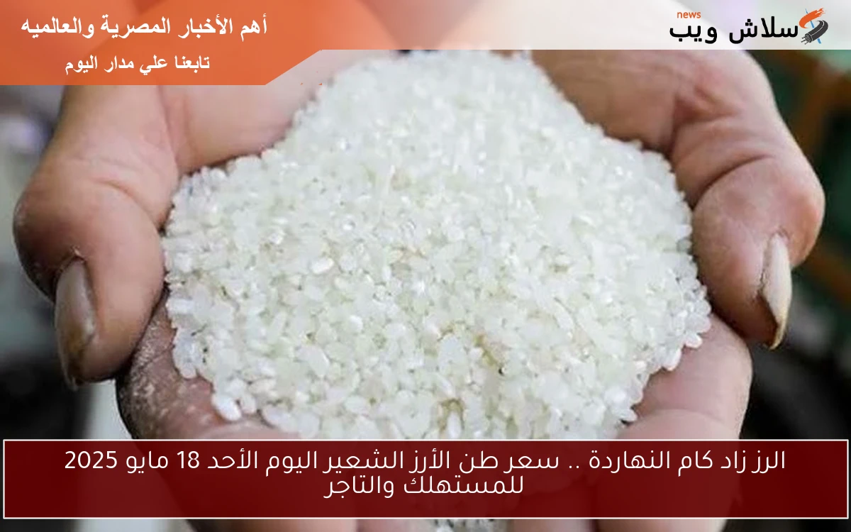 الرز زاد كام النهاردة .. سعر طن الأرز الشعير اليوم الأحد 18 مايو 2025 للمستهلك والتاجر
