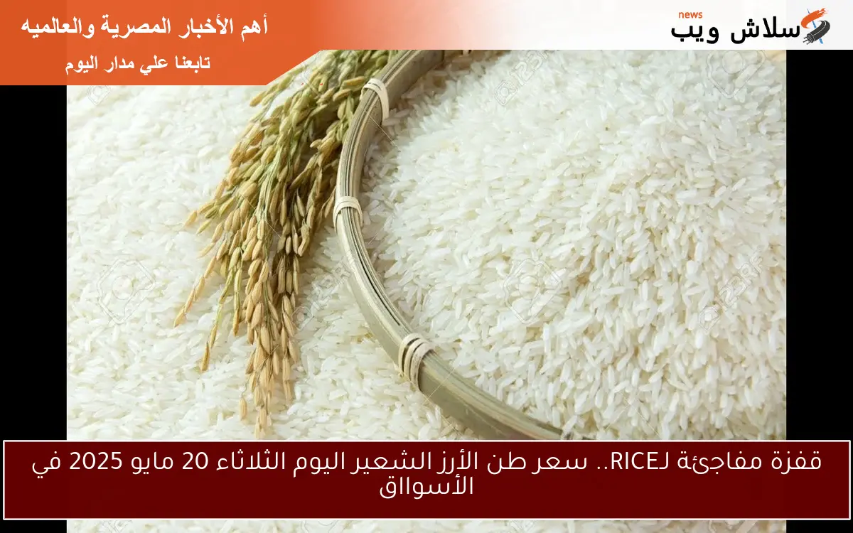 قفزة مفاجئة لـRICE.. سعر طن الأرز الشعير اليوم الثلاثاء 20 مايو 2025 في الأسوااق