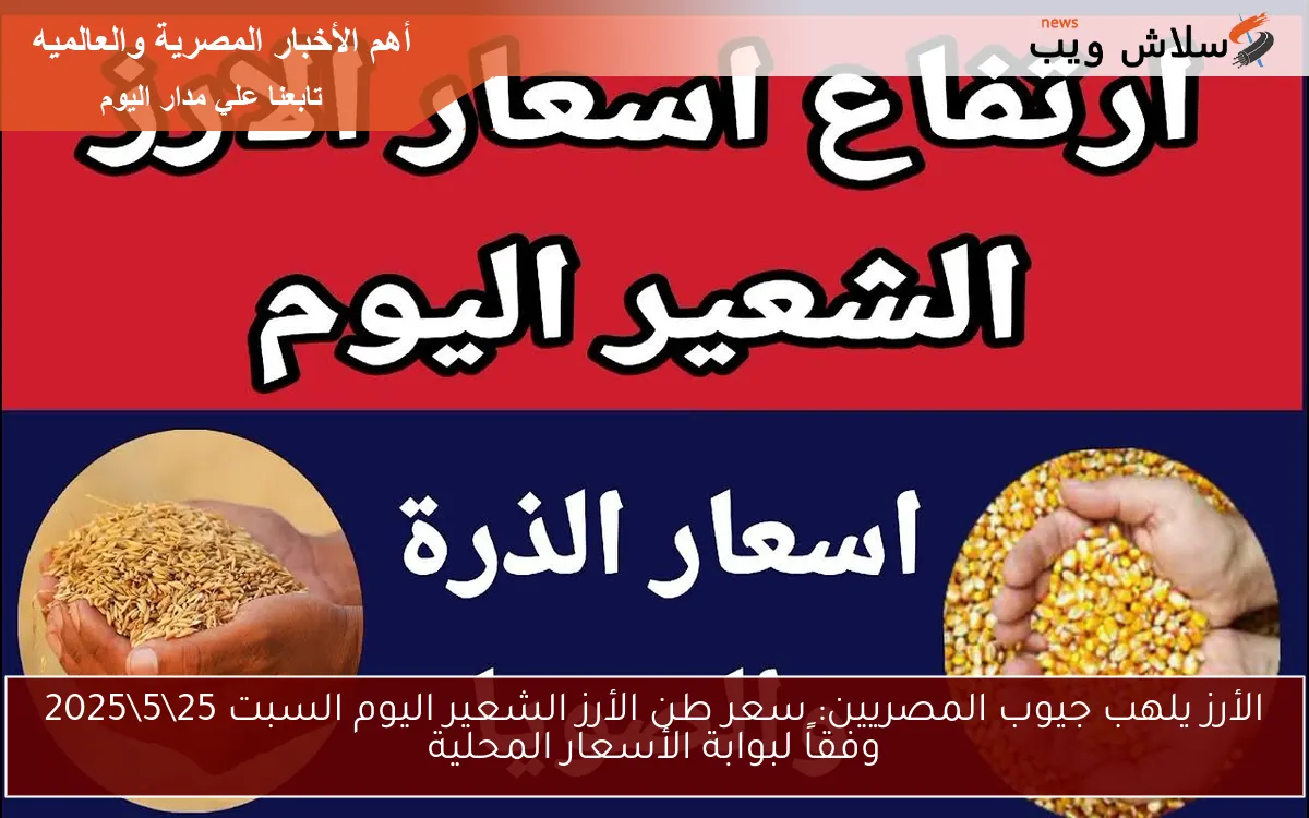 الأرز يلهب جيوب المصريين: سعر طن الأرز الشعير اليوم السبت 25\5\2025 وفقاً لبوابة الأسعار المحلية