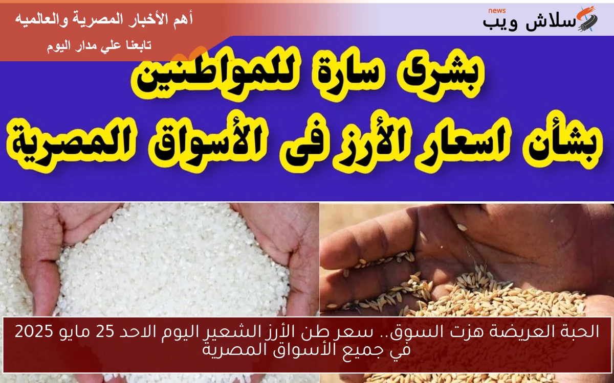 الحبة العريضة هزت السوق النهاردة.. سعر طن الأرز الشعير اليوم الاحد 25 مايو 2025 في جميع الأسواق المصرية