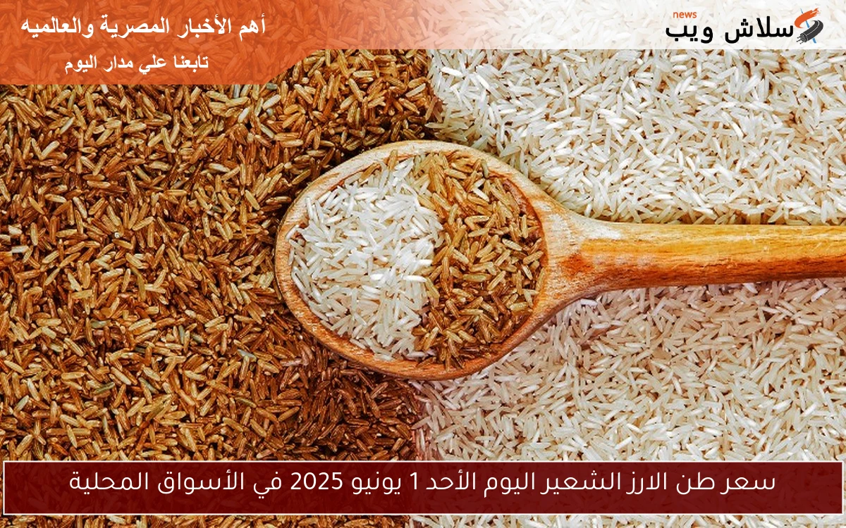 سعر طن الارز الشعير اليوم الأحد 1 يونيو 2025 في الأسواق المحلية 2 سعر طن الارز الشعير اليوم الأحد 1 يونيو 2025 في الأسواق المحلية