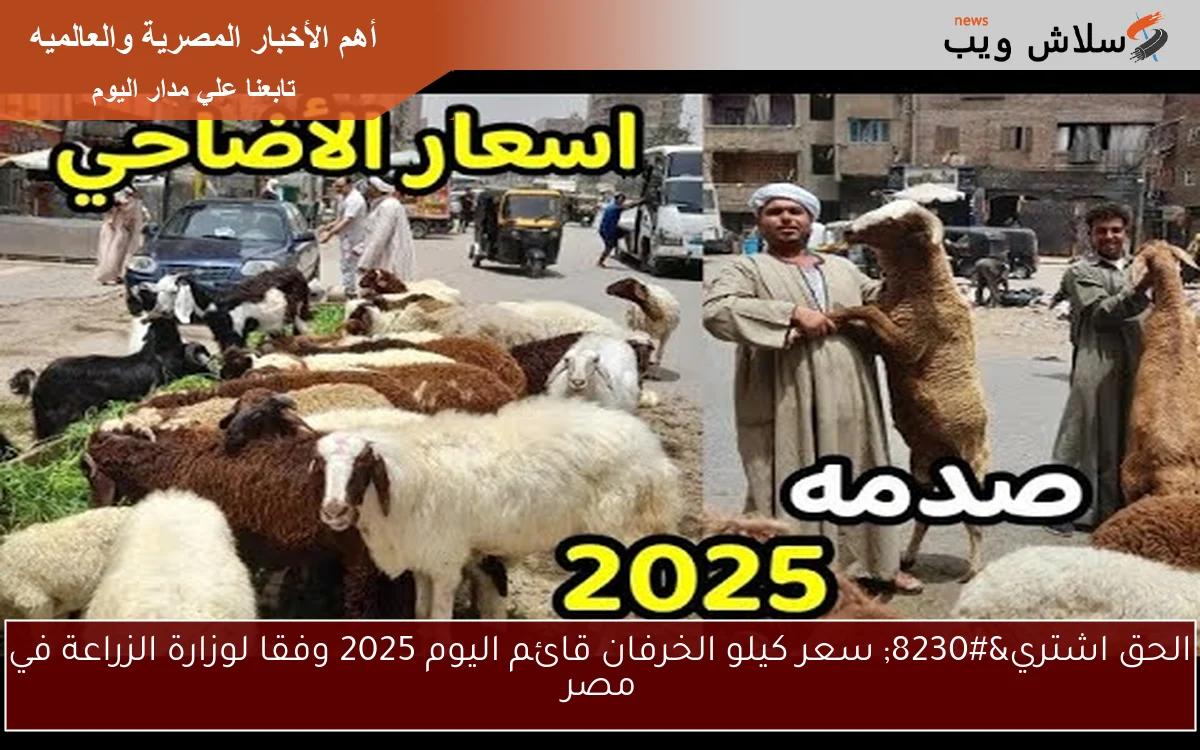 الحق اشتري… سعر كيلو الخرفان قائم اليوم 2025 وفقا لوزارة الزراعة في مصر