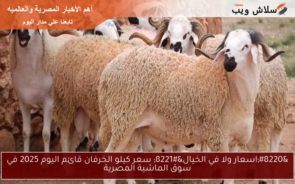 “اسعار ولا في الخيال” سعر كيلو الخرفان قائم اليوم 2025 في سوق الماشية المصرية