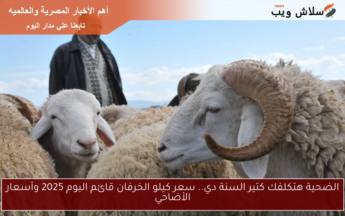 الضحية هتكلفك كتير السنة دي.. سعر كيلو الخرفان قائم اليوم 2025 وأسعار الأضاحي