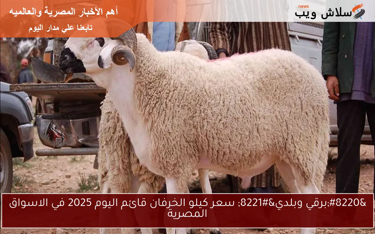 “برقي وبلدي” سعر كيلو الخرفان قائم اليوم 2025 في الاسواق المصرية