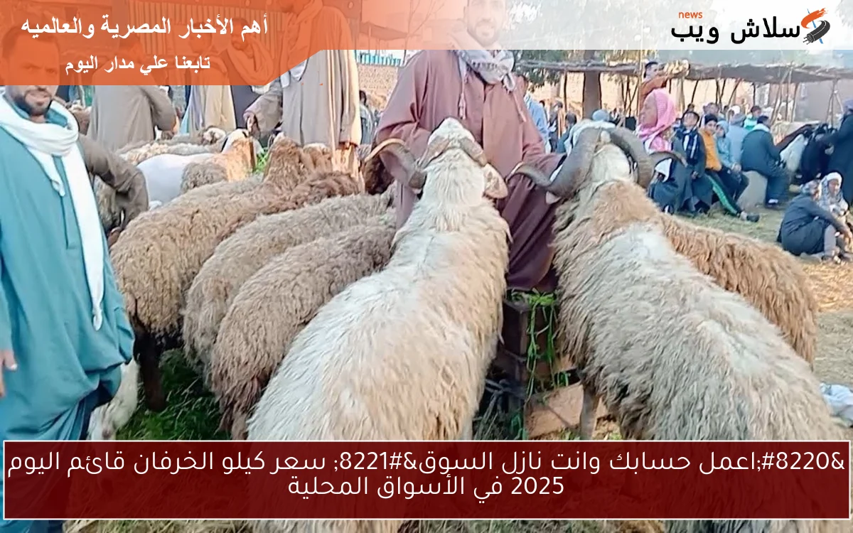 "اعمل حسابك وانت نازل السوق" سعر كيلو الخرفان قائم اليوم 2025 في الأسواق المحلية 2 “اعمل حسابك وانت نازل السوق” سعر كيلو الخرفان قائم اليوم 2025 في الأسواق المحلية