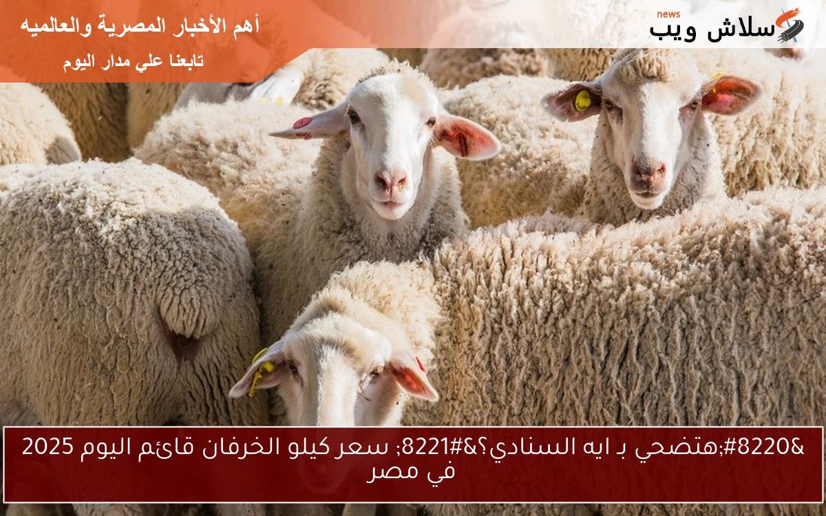 “هتضحي بـ ايه السنادي؟” سعر كيلو الخرفان قائم اليوم 2025 في مصر