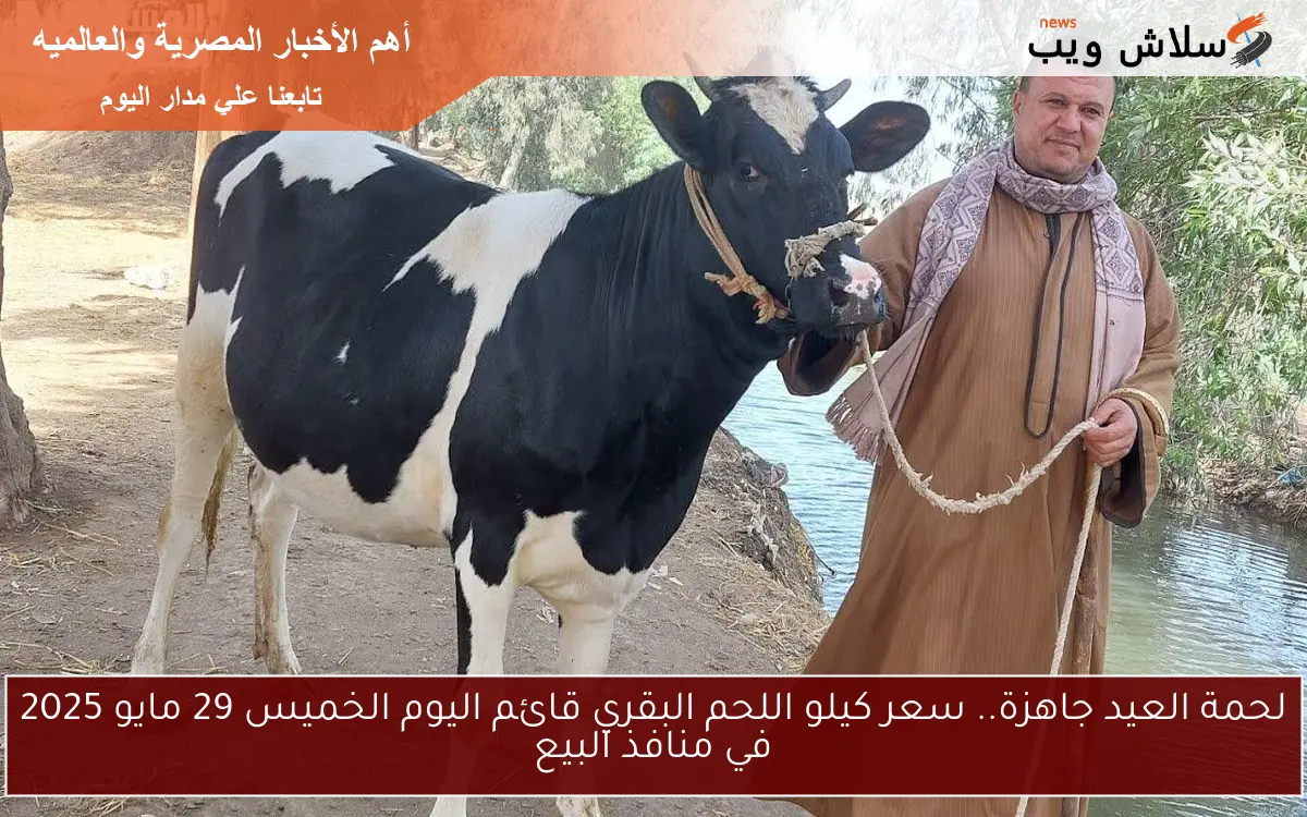 لحمة العيد جاهزة.. سعر كيلو اللحم البقري قائم اليوم الخميس 29 مايو 2025 في منافذ البيع