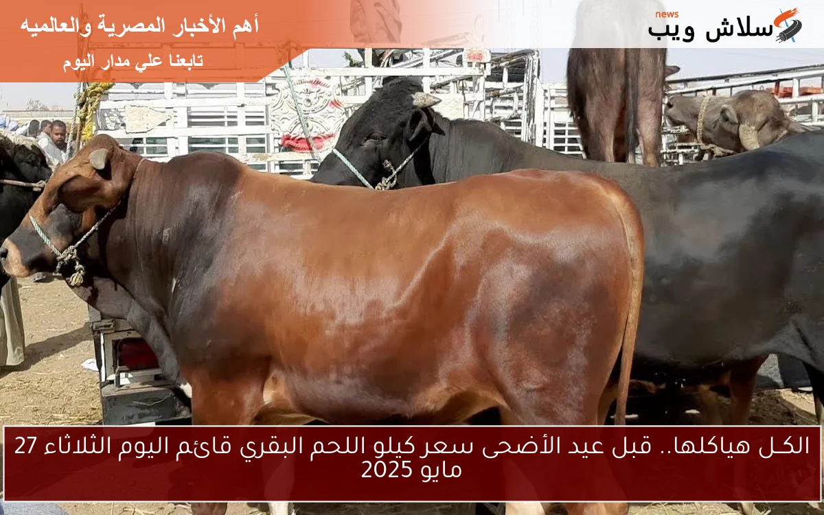 الكــل هياكلها.. قبل عيد الأضحى سعر كيلو اللحم البقري قائم اليوم الأربعاء 28 مايو 2025