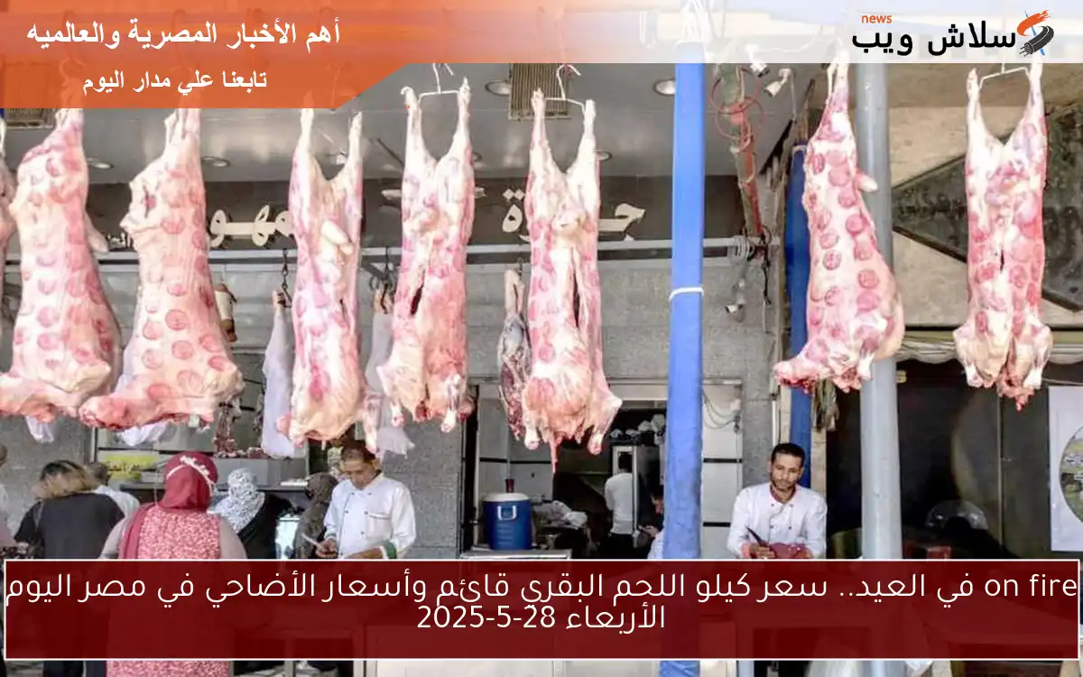 وزع علي المساكين.. سعر كيلو اللحم البقري قائم وأسعار الأضاحي في مصر اليوم الأربعاء 28-5-2025