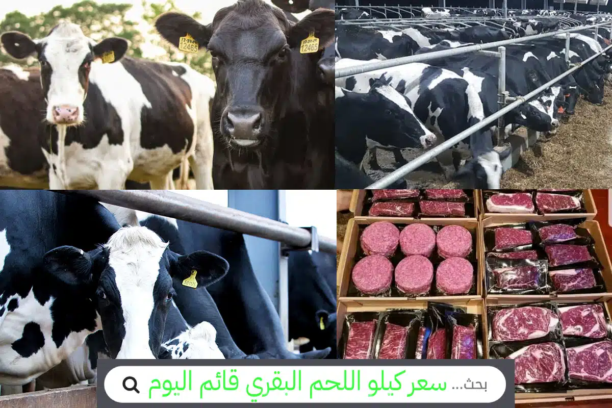 الكــل هيشتريها.. قبل عيد الأضحى سعر كيلو اللحم البقري قائم اليوم الجمعة 30 مايو 2025