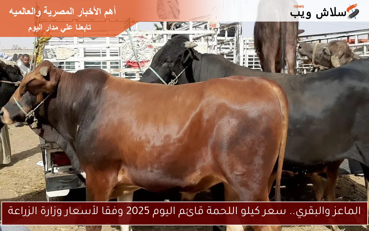 الماعز والبقري.. سعر كيلو اللحمة قائم اليوم 2025 وفقا لأسعار وزارة الزراعة
