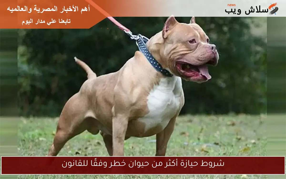 شروط حيازة أكثر من حيوان خطر وفقًا للقانون 2 شروط حيازة أكثر من حيوان خطر وفقًا للقانون