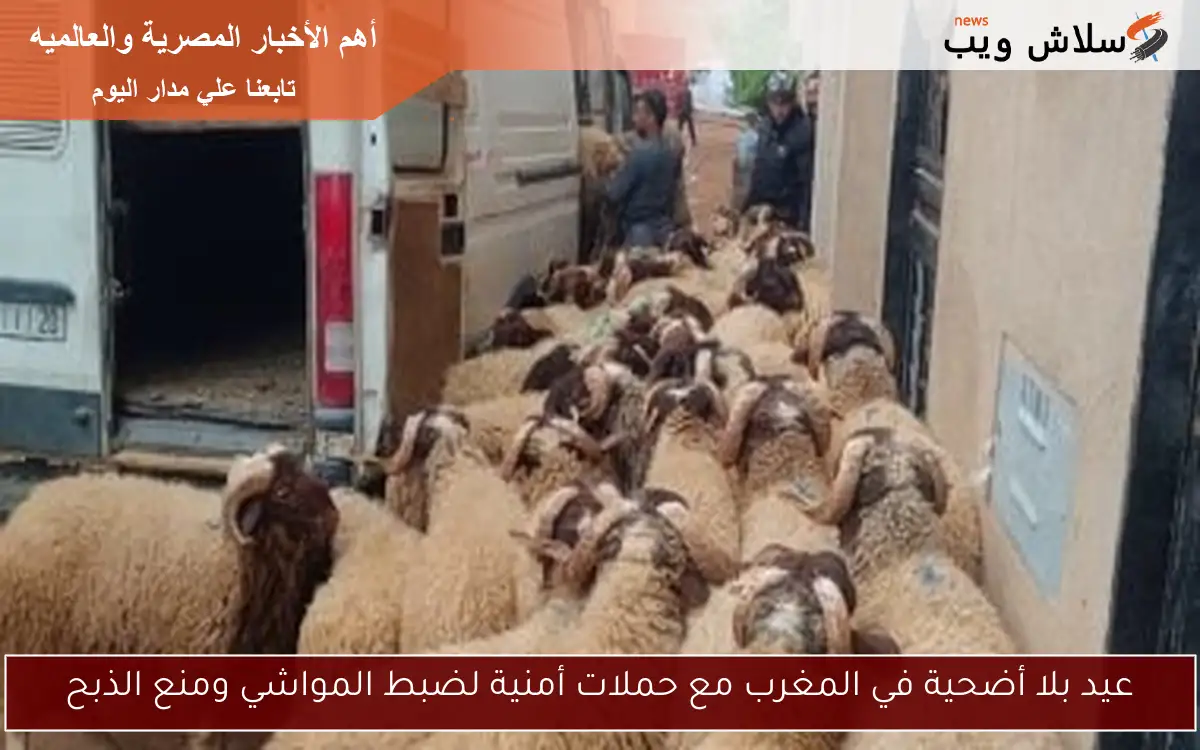 عيد بلا أضحية في المغرب مع حملات أمنية لضبط المواشي ومنع الذبح 2 عيد بلا أضحية في المغرب مع حملات أمنية لضبط المواشي ومنع الذبح