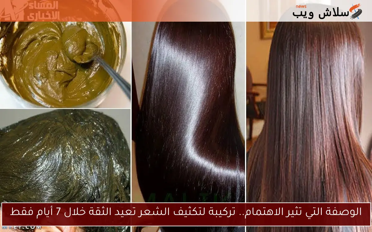 الوصفة التي تثير الاهتمام.. تركيبة لتكثيف الشعر تعيد الثقة خلال 7 أيام فقط 2 الوصفة التي تثير الاهتمام.. تركيبة لتكثيف الشعر تعيد الثقة خلال 7 أيام فقط